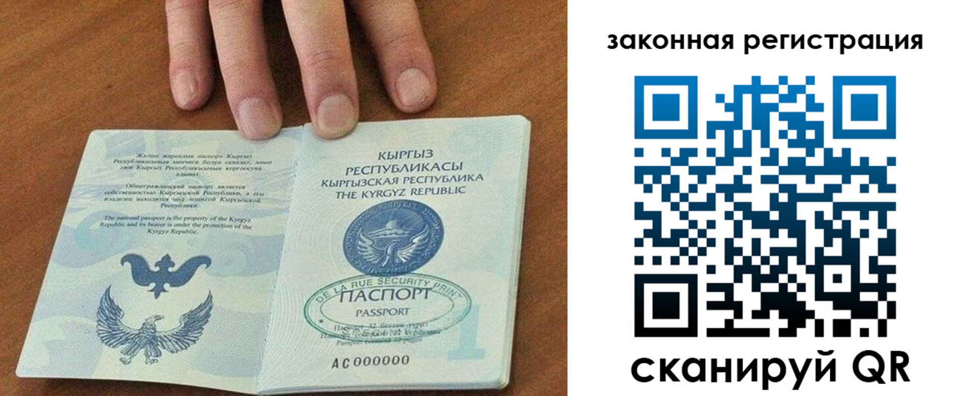 прописка гарантия в Камышине